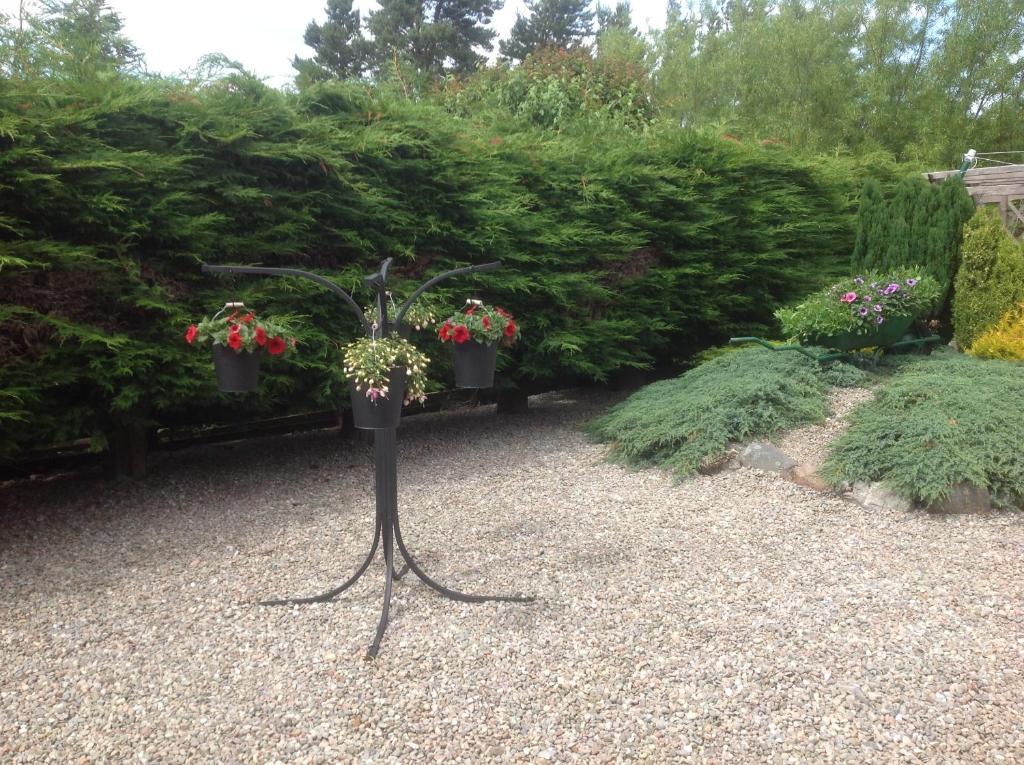 Dunroamin Bed And Breakfast Aviemore Room photo
